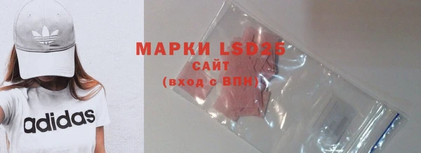 хмурый Верея